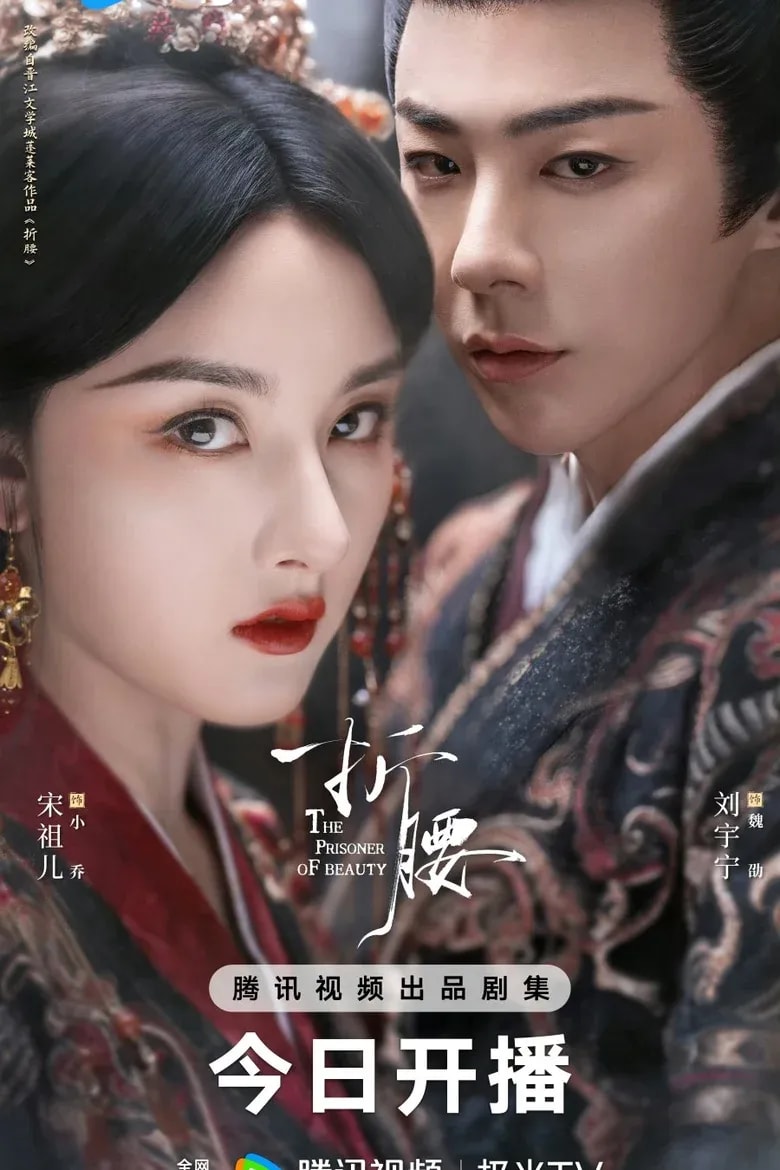 The Prisoner of Beauty cover