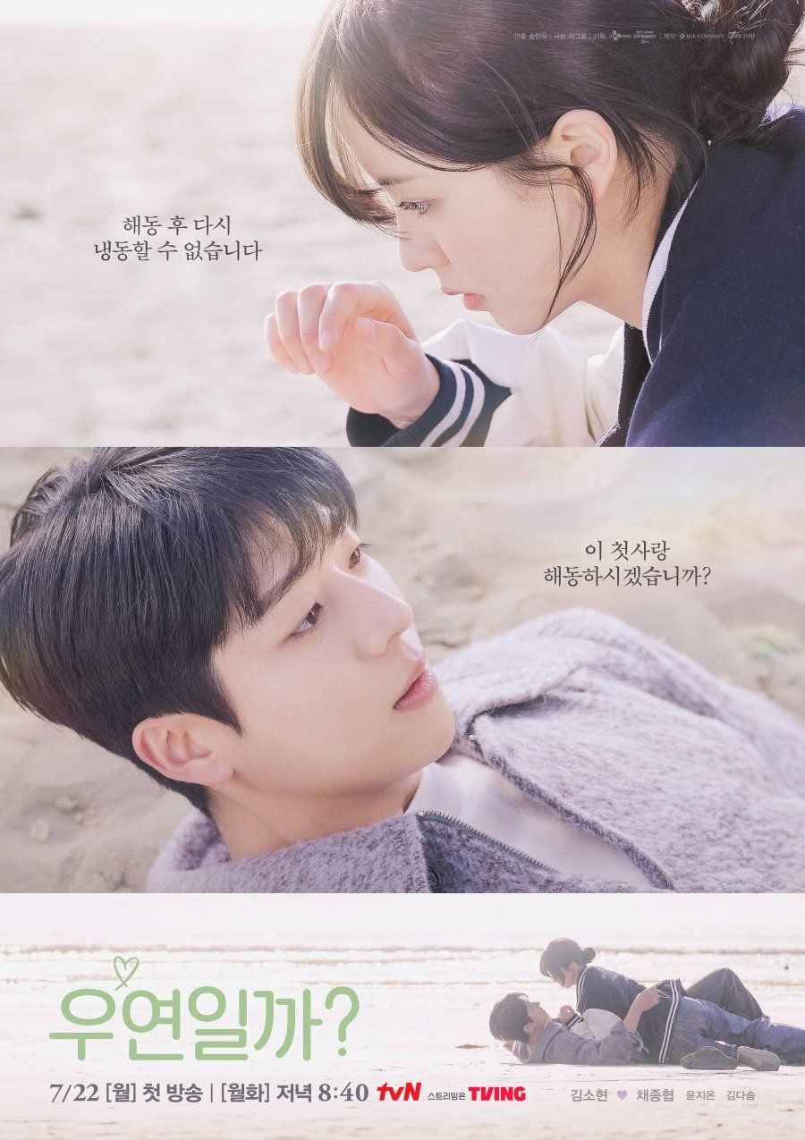 Serendipity's Embrace cover
